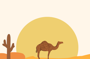 成人版抖音短视频审核新规盘点｜流量增长秘籍