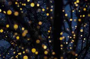 快手成人版短视频剪辑实操教程-成功经验