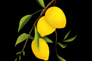 欧美一区二区三区在线视频加载提速方法-影单必看