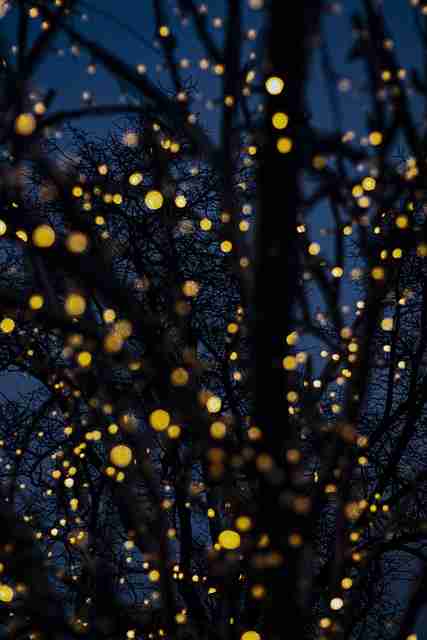 深度解析抖音成人版商业模式革新-新手入门必读