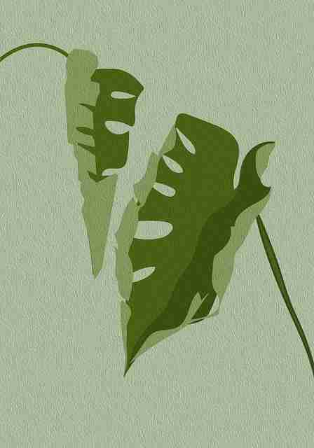 甜度曲线:糖心Vlog色彩情绪试验