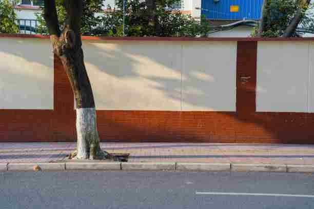 资源速递｜aaa永久在线观看体验优化小技巧，aaaq