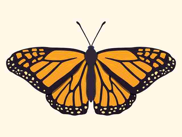 深扒糖心爆料的拍摄细节:糖心美图再度刷新认知