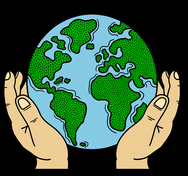 快手成人版达人合作与联动策略-案例研究