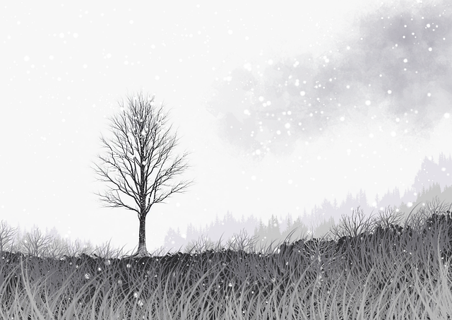 技术流分享 - 每日大赛拍摄剪辑技巧分享,视频拍摄比赛方案