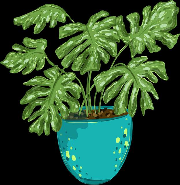 aaa在线观看免费轻松追剧避坑指南｜使用避坑手册，aaal